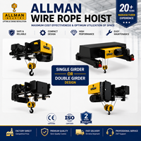 Palans électriques à câble ALLMAN 220V, capacité de 5 tonnes, type à double poutre, robuste