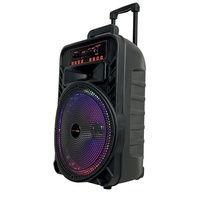 Haut-parleur karaoké sur roulettes avec micro, 12 pouces, 20W, éclairage LED RGB, batterie rechargeable intégrée, idéal pour les spectacles de rue - Offre Spéciale