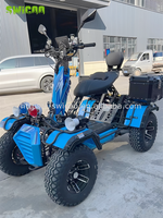 Kart hybride tout-terrain, scooter électrique 12KW, batterie 150AH, kart tout-terrain 4 roues motrices, karting sportif