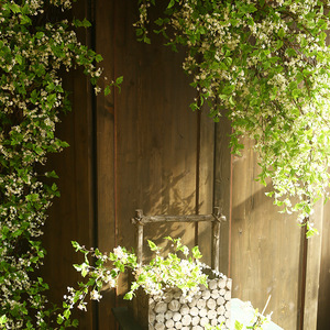 Arte Floral Yihua, Flor Artificial de Perla, Planta Verde, Flor de Seda Blanca y Rosa para Decoración del Hogar, Exhibición en Ventanas, Clubhouse - Product Image 4