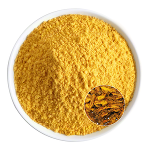 Extrait de Coptis, berbérine de haute pureté, matière première pour produits alimentaires et de santé - Product Image 1