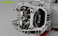 Vente d'usine ANIMA 190FSM Moteur 4 vitesses Kick Start 190cc Moteur pour moto Dirt Bike