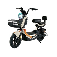 Vélo Électrique de Commutation Léger 500W 48V à Moteur Arrière Direct Usine - Scooter Électrique Économe en Énergie pour une Conduite Fluide