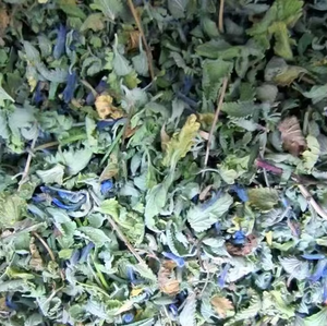 Pasokan pabrik <span class=keywords><strong>Nepeta</strong></span> murni Cataria/<span class=keywords><strong>Catnip</strong></span>/daun Catmint makanan kering untuk makanan kucing dan pengisi mainan - Product Image 2