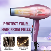 Moehair-Ensemble sèche-cheveux 5 en 1 violet, 1000W, moteur électrique DC, diffuseur et buse pour hôtel, usage domestique