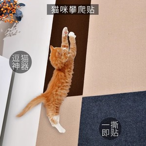 Arbre à chat en sisal, couleur unie, 1 niveau, durable, pour intérieur, pour chats - Product Image 3