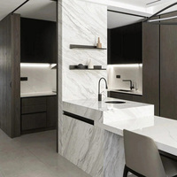 Marbre naturel Volakas de luxe PerfectStone pour un projet de construction intérieure de style moderne sur mesure