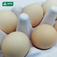 Cartons à œufs en papier pour poulets, plateau de luxe, moule d'emballage utilisé, 6 moules, cartons à œufs biodégradables