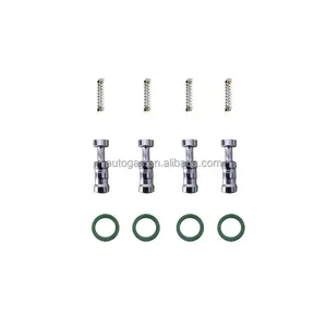 Super Injector Reparatie Kit Lpg Cng Standaard Brandstof Gas Type 30 Cng Lpg Gnv Glp