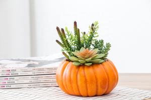 Commercio all'ingrosso diretto della fabbrica incredibile <span class=keywords><strong>zucca</strong></span> vaso bonsai casa decorazione di Halloween artificiale piante succulente per la vendita - Product Image 6
