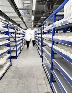 Estanterías Metálicas Perforadas de Una Cara para Supermercados, Resistentes, Venta Directa de Fábrica, Estantería Independiente PFT - Product Image 5