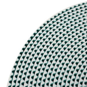 <span class=keywords><strong>Courroie</strong></span> <span class=keywords><strong>de</strong></span> ventilation <span class=keywords><strong>de</strong></span> hotte <span class=keywords><strong>de</strong></span> laboratoire <span class=keywords><strong>de</strong></span> haute qualité T10/5M avec <span class=keywords><strong>courroie</strong></span> <span class=keywords><strong>de</strong></span> <span class=keywords><strong>distribution</strong></span> en tissu vert, fabriquée en Chine - Product Image 4