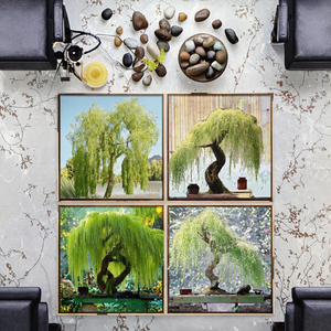 30+ Arbres Bonsaï <span class=keywords><strong>Saule</strong></span> <span class=keywords><strong>Pleureur</strong></span> – Branches tombantes gracieuses, Arbre Ornemental Compact en Plastique pour Intérieur/Extérieur, Toutes Saisons, Jardin - Product Image 1