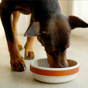 2025 yeni çevre dostu dayanıklı toksik olmayan köpek kase fantezi bambu elyaf buğday saman tasarımcı baskılı kedi köpek besleyici hayvan mama kabı - Product Image 3