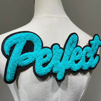 Patchs brodés thermocollants en chenille à motif personnalisé pour vêtements, vente en gros