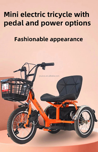 Nouveau tricycle numérique à 3 roues, moto, moteur 24V 250W, batterie 12Ah, vitesse 12 km/h, petit, pratique, pour adultes, transport de marchandises, KS-TH106B, nouveau modèle 3 - Product Image 6