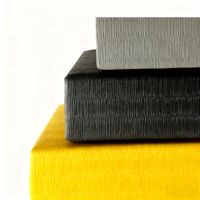 Tapis de judo Tatami certifié IJF, tapis de Taekwondo, tapis de BJJ, tapis de judo gonflables