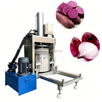 Hydraulische pers voor fruit, hydraulische koude pers voor kersen, citroenen, sinaasappels, elektrische hydraulische groentepers, koude persmachine