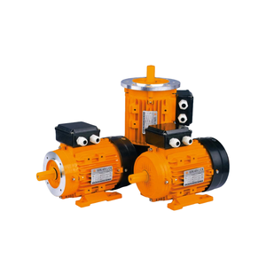 TYC loạt không chổi than động cơ đồng bộ vĩnh viễn công nghiệp và nông nghiệp sản xuất động cơ - Product Image 1