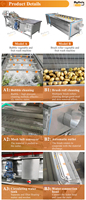 MY Machine à laver les fruits à bande transporteuse Manioc Clean Peel Brush Roller Vegetable Wash Machine