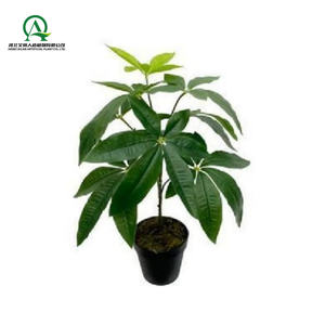 ต้นปาชิราอะควาติกาเทียมต้นไม้สีเขียวต้นไม้ไม่มีกระถางบอนไซสำหรับบ้านสำนักงานปาร์ตี้สวนห้องระเบียงตกแต่งประตูหน้าบ้าน - Product Image 2