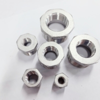 WAKAMATSU OEM 304/316 joint d'étanchéité en acier inoxydable Bouchon Hex mâle douille réducteur filetage conique adaptateur de tuyau connecteur NPT BSP