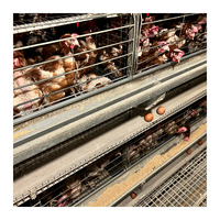 Cages de batterie d'équipement d'élevage de volaille automatique galvanisées à chaud de haute qualité état neuf