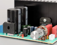 Placa amplificadora de potencia estéreo HIFI de 50W 2.0 United States half NS LM1876