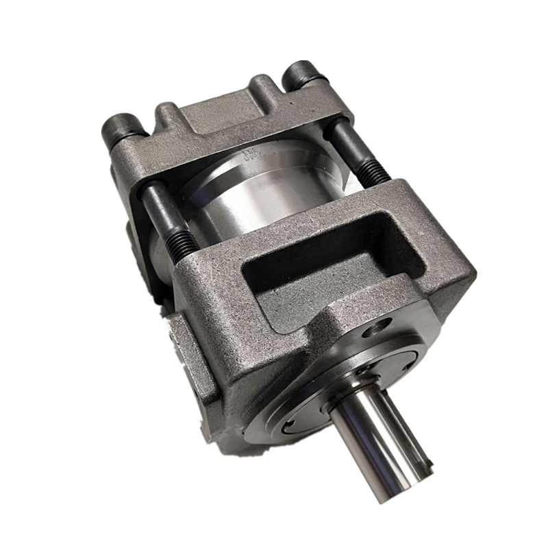 QT6252-100-63-BP-Z Hydraulic Gear Pump for Injection Molding