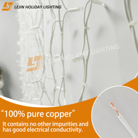 Rideaux lumineux LED intelligents programmables CE IP67 pour décorations architecturales de jardin avec spécifications personnalisables
