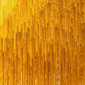 Nouvelle fleur de souci séchée indienne artificielle étanche usine directe décorative Halloween remise des diplômes mariage Diwali guirlande - Product Image 1