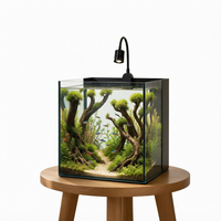 Aquarium de bureau personnalisé en verre ultra-blanc, aquarium carré adapté aux eaux salées et aux eaux douces