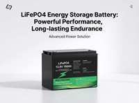 Smart BMS 25.6V 100-200Ah LiFePO4 Baterai Penyimpanan Energi Surya Lithium Iron Phosphate IP68 Tahan Air 6000-Cycle