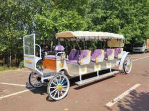 Calèche de princesse de luxe de haute qualité pour les mariages fabriquée avec des transports spéciaux de personnalités - Product Image 4