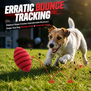 Juguete Masticable Ecológico para Perros, <span class=keywords><strong>Precio</strong></span> de Fábrica, Pelota de Goma Natural con Forma de Balón de Fútbol, Resistente a Mordidas, Limpieza Dental, Juguete Interactivo con Compartimento Oculto - Product Image 5