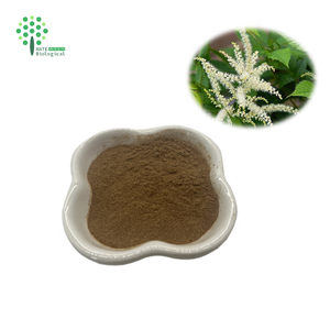 Đen cohosh chiết xuất từ rễ 2.5% triterpene saponin cimicifuga racemosa chiết xuất bột - Product Image 3