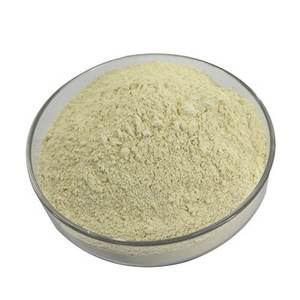 Fornitore Cinese di Punta: Biossido di Cerio (CeO2) in Polvere Gialla ad Alta Purezza con Prezzo Vantaggioso - Product Image 6