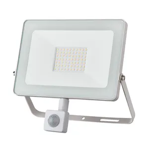 Outdoor RGB Versatile Lighting for Outdoor Use IP 65 Rassive Infra Red 10W to 100W LED Flood Light