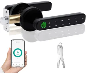Impronte digitali Bluetooth maniglia porta Look APP di controllo elettronico biometrico serratura della porta per la casa Hotel Smart maniglia