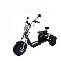 Scooter électrique Citycoco HT5 2000W à 3 roues, pneus larges, batterie lithium 60V 12Ah, étanche, 45 km/h, démarrage à une touche, 150 kg, double