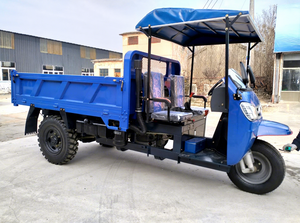 Tricycle de fret en vrac 22 CV Diesel, véhicule à trois <span class=keywords><strong>roues</strong></span> pour concessionnaires et commerçants africains - Product Image 2