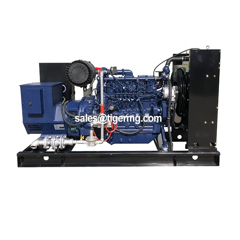 Generator biomass 30kw Harga bagus dengan gasifier gas kayu dengan CE