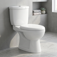 WC en céramique deux pièces de conception turque, économique, pour salle de bain, ensemble WC