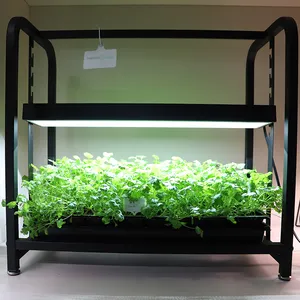 Kit de plantação de ervas para jardim de alto andamento, prateleira de sistema de cultivo de plantas com suporte, luz LED de crescimento com suporte
