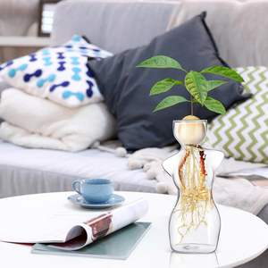 Newtay elegante jarrón <span class=keywords><strong>de</strong></span> cristal con silueta femenina para propagación <span class=keywords><strong>de</strong></span> <span class=keywords><strong>aguacate</strong></span> decoración del hogar bombillas esquejes <span class=keywords><strong>de</strong></span> plantas macetas para - Product Image 4