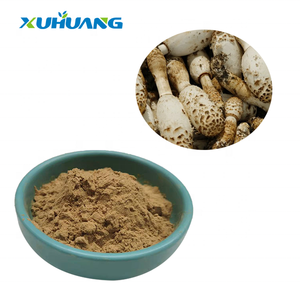 Extracto en polvo de hongos <span class=keywords><strong>Coprinus</strong></span> Comatus, suministro del fabricante - Product Image 1