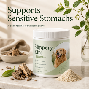 Maßgeschneidertes Verdauungspulver für Hunde - Probiotika-Angereichertes Slippery-Elm-Nahrungsergänzungsmittel - Großhandel Hochbioverfügbare Tierernährung - Product Image 1