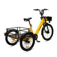 TXED Smart Fleet 4G IoT Verrou de frein électronique 36V 250W Moteur 13Ah Batterie Tricycle électrique partagé pour opérateurs de location