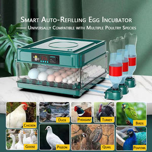 Incubadora Automática de Huevos para Aves de Corral, Fábrica de Equipos Agrícolas para Pollos, Aves, Reptiles, Codornices, Pavos, PC PP - Product Image 3