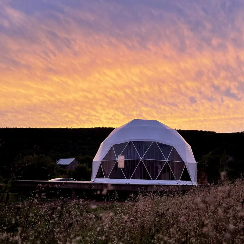 Canopy Luxury Glamping Geodesic House Dome Tent
